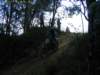 img_7164_small.jpg