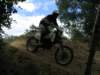 img_7294_small.jpg