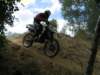 img_7300_small.jpg